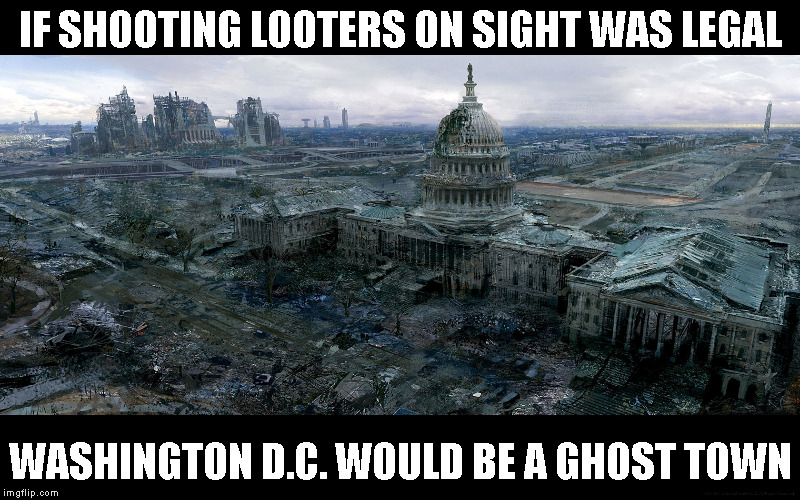 Washington Dc destroyed | IF SHOOTING LOOTERS ON SIGHT WAS LEGAL; WASHINGTON D.C. WOULD BE A GHOST TOWN | image tagged in washington dc destroyed | made w/ Imgflip meme maker