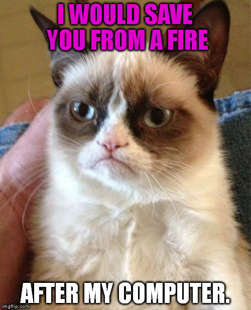 Grumpy Cat Meme | I WOULD SAVE YOU FROM A FIRE; AFTER MY COMPUTER. | image tagged in memes,grumpy cat | made w/ Imgflip meme maker