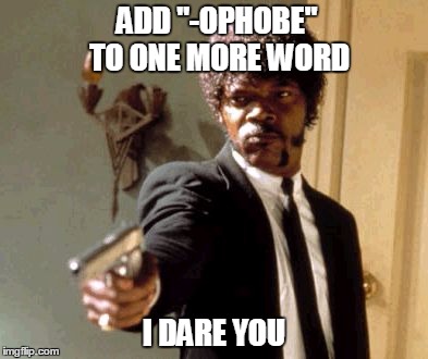 Say That Again I Dare You Meme | ADD "-OPHOBE" TO ONE MORE WORD; I DARE YOU | image tagged in memes,say that again i dare you | made w/ Imgflip meme maker