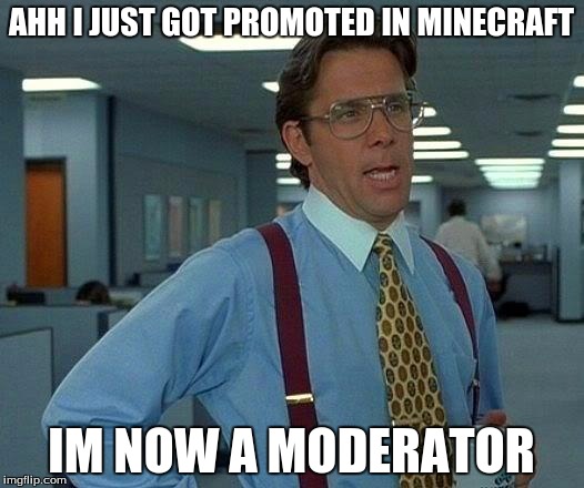 That Would Be Great | AHH I JUST GOT PROMOTED IN MINECRAFT; IM NOW A MODERATOR | image tagged in memes,that would be great | made w/ Imgflip meme maker