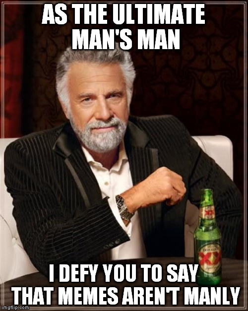 The Most Interesting Man In The World Meme | AS THE ULTIMATE MAN'S MAN; I DEFY YOU TO SAY THAT MEMES AREN'T MANLY | image tagged in memes,the most interesting man in the world | made w/ Imgflip meme maker