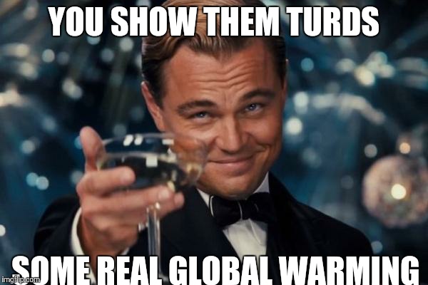 Leonardo Dicaprio Cheers Meme | YOU SHOW THEM TURDS; SOME REAL GLOBAL WARMING | image tagged in memes,leonardo dicaprio cheers | made w/ Imgflip meme maker