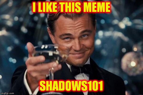 Leonardo Dicaprio Cheers Meme | I LIKE THIS MEME SHADOWS101 | image tagged in memes,leonardo dicaprio cheers | made w/ Imgflip meme maker