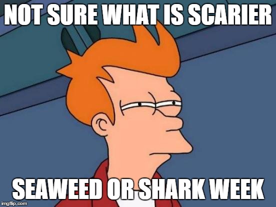 Futurama Fry Meme | NOT SURE WHAT IS SCARIER SEAWEED OR SHARK WEEK | image tagged in memes,futurama fry | made w/ Imgflip meme maker