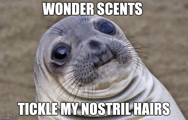Awkward Moment Sealion Meme | WONDER SCENTS; TICKLE MY NOSTRIL HAIRS | image tagged in memes,awkward moment sealion | made w/ Imgflip meme maker