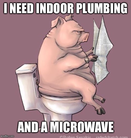 I NEED INDOOR PLUMBING AND A MICROWAVE | made w/ Imgflip meme maker