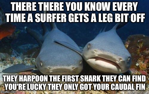 Nurse Sharks | THERE THERE YOU KNOW EVERY TIME A SURFER GETS A LEG BIT OFF; THEY HARPOON THE FIRST SHARK THEY CAN FIND YOU'RE LUCKY THEY ONLY GOT YOUR CAUDAL FIN | image tagged in nurse sharks | made w/ Imgflip meme maker