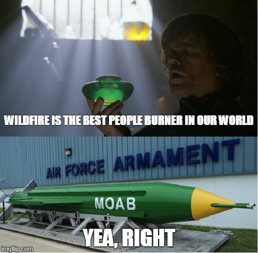 WILDFIRE IS THE BEST PEOPLE BURNER IN OUR WORLD; YEA, RIGHT | image tagged in game of thrones | made w/ Imgflip meme maker