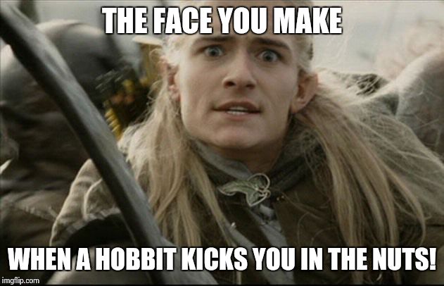 Legolas | THE FACE YOU MAKE; WHEN A HOBBIT KICKS YOU IN THE NUTS! | image tagged in legolas | made w/ Imgflip meme maker