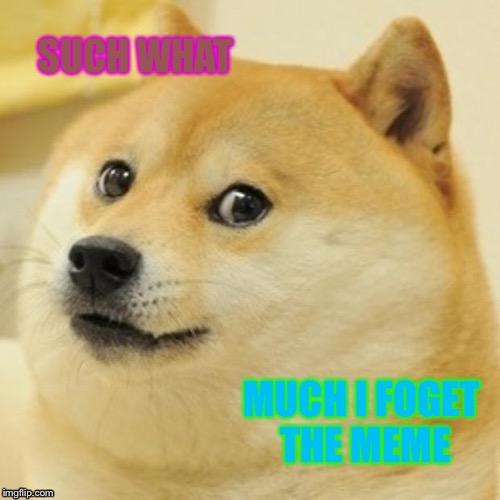 Doge | SUCH WHAT; MUCH I FOGET THE MEME | image tagged in memes,doge | made w/ Imgflip meme maker