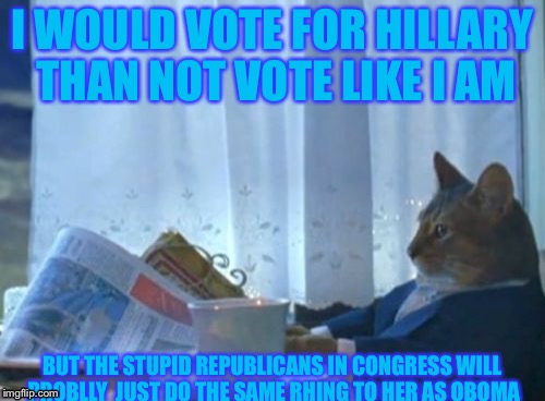 I Should Buy A Boat Cat | I WOULD VOTE FOR HILLARY THAN NOT VOTE LIKE I AM; BUT THE STUPID REPUBLICANS IN CONGRESS WILL PROBLLY  JUST DO THE SAME RHING TO HER AS OBOMA | image tagged in memes,i should buy a boat cat | made w/ Imgflip meme maker