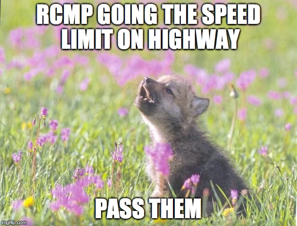 Baby Insanity Wolf | RCMP GOING THE SPEED LIMIT ON HIGHWAY; PASS THEM | image tagged in memes,baby insanity wolf,AdviceAnimals | made w/ Imgflip meme maker