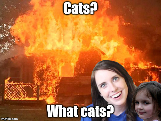 Overly Attached Girlfriend with Disaster Girl | Cats? What cats? | image tagged in overly attached girlfriend with disaster girl | made w/ Imgflip meme maker