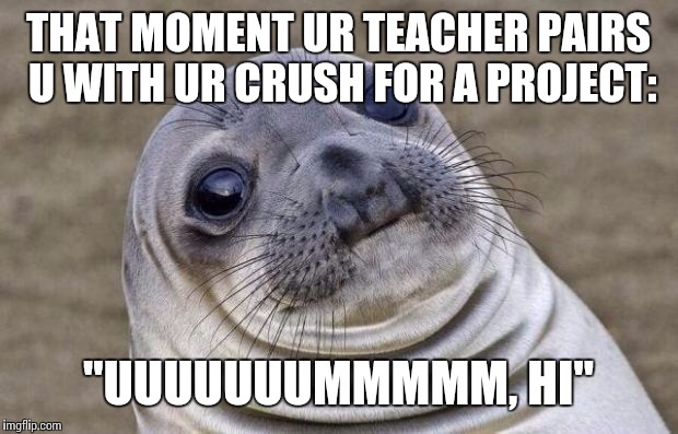 Awkward Moment Sealion Meme | THAT MOMENT UR TEACHER PAIRS U WITH UR CRUSH FOR A PROJECT:; "UUUUUUUMMMMM, HI" | image tagged in memes,awkward moment sealion | made w/ Imgflip meme maker