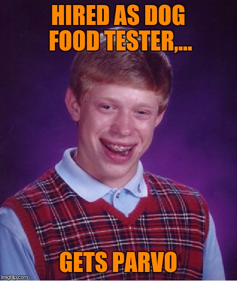 Bad Luck Brian Meme | HIRED AS DOG FOOD TESTER,... GETS PARVO | image tagged in memes,bad luck brian | made w/ Imgflip meme maker