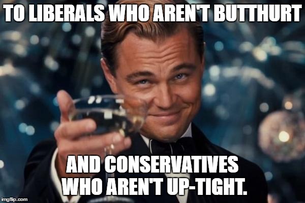 Takes all kinds on both sides. | TO LIBERALS WHO AREN'T BUTTHURT; AND CONSERVATIVES WHO AREN'T UP-TIGHT. | image tagged in memes,leonardo dicaprio cheers | made w/ Imgflip meme maker