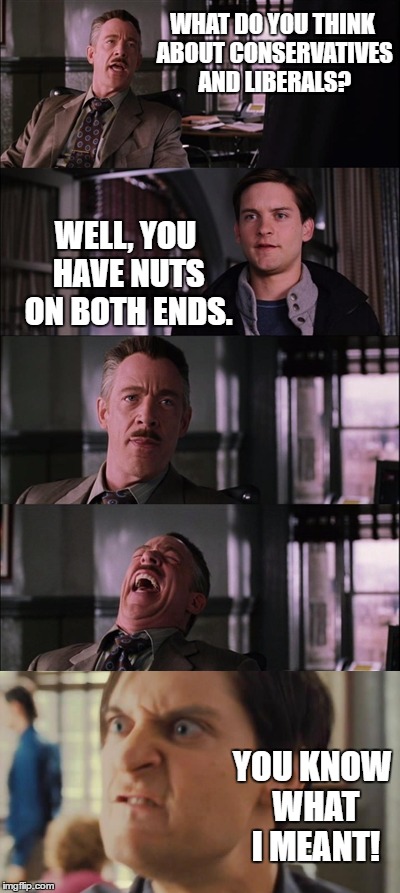 This other guy and I were discussing politics when this happened. We laughed pretty hard for about 10 minutes. | WHAT DO YOU THINK ABOUT CONSERVATIVES AND LIBERALS? WELL, YOU HAVE NUTS ON BOTH ENDS. YOU KNOW WHAT I MEANT! | image tagged in memes,j jonah jameson,funny | made w/ Imgflip meme maker