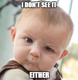 Skeptical Baby Meme | I DON'T SEE IT EITHER | image tagged in memes,skeptical baby | made w/ Imgflip meme maker