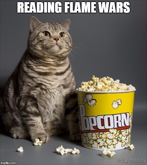Cat eating popcorn |  READING FLAME WARS | image tagged in cat eating popcorn | made w/ Imgflip meme maker