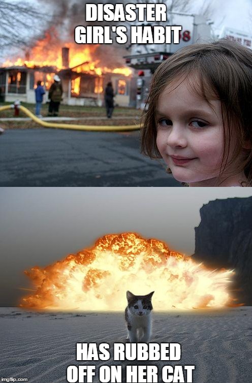 A girl and her cat. | DISASTER GIRL'S HABIT; HAS RUBBED OFF ON HER CAT | image tagged in disaster girl,cats,cat,animals,memes,funny memes | made w/ Imgflip meme maker