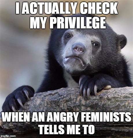 Confession Bear Meme |  I ACTUALLY CHECK MY PRIVILEGE; WHEN AN ANGRY FEMINISTS TELLS ME TO | image tagged in memes,confession bear | made w/ Imgflip meme maker