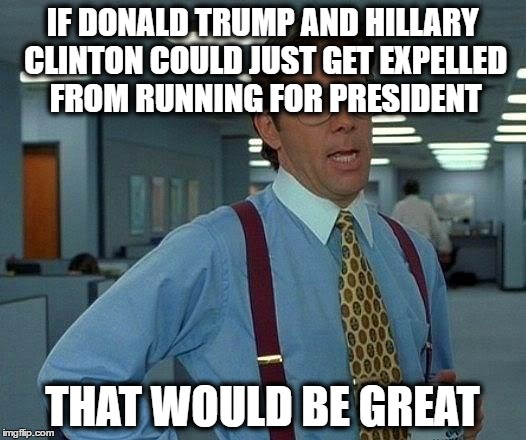 That Would Be Great Meme | IF DONALD TRUMP AND HILLARY CLINTON COULD JUST GET EXPELLED FROM RUNNING FOR PRESIDENT; THAT WOULD BE GREAT | image tagged in memes,that would be great | made w/ Imgflip meme maker
