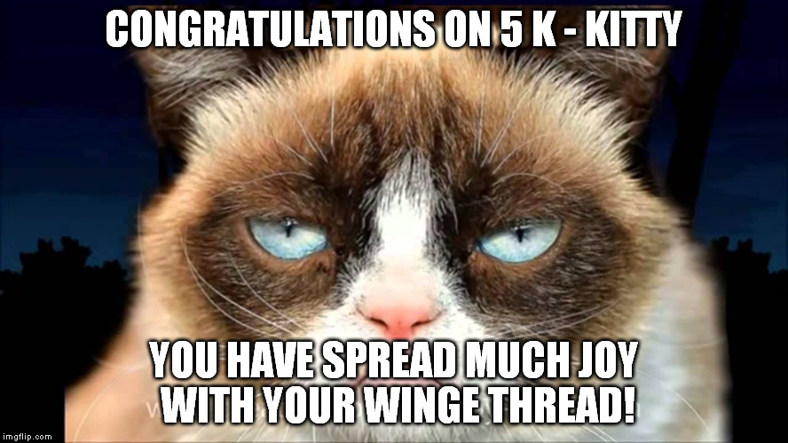 CONGRATULATIONS ON 5 K - KITTY; YOU HAVE SPREAD MUCH JOY WITH YOUR WINGE THREAD! | made w/ Imgflip meme maker