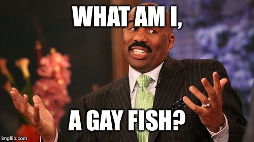 WHAT AM I, A GAY FISH? | image tagged in memes,steve harvey | made w/ Imgflip meme maker