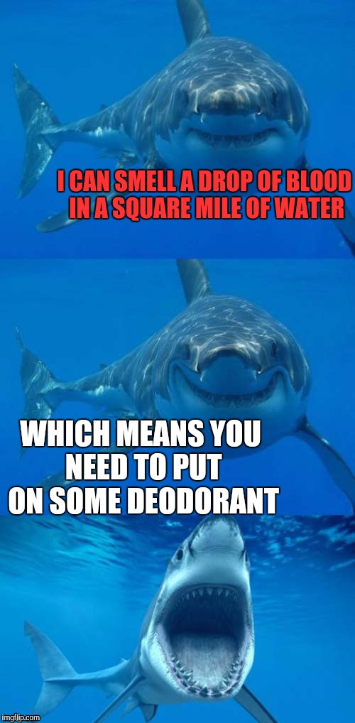 Bad Shark Pun  | I CAN SMELL A DROP OF BLOOD IN A SQUARE MILE OF WATER; WHICH MEANS YOU NEED TO PUT ON SOME DEODORANT | image tagged in bad shark pun | made w/ Imgflip meme maker
