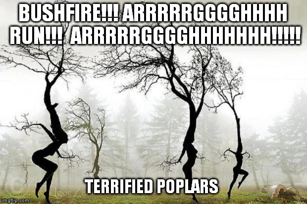 Dancing Trees | BUSHFIRE!!! ARRRRRGGGGHHHH RUN!!!

ARRRRRGGGGHHHHHHH!!!!! TERRIFIED POPLARS | image tagged in dancing trees | made w/ Imgflip meme maker