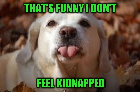 THAT'S FUNNY I DON'T FEEL KIDNAPPED | made w/ Imgflip meme maker