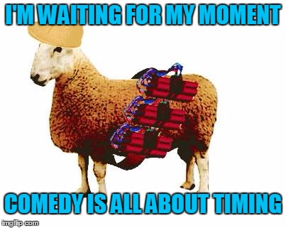I'M WAITING FOR MY MOMENT COMEDY IS ALL ABOUT TIMING | made w/ Imgflip meme maker