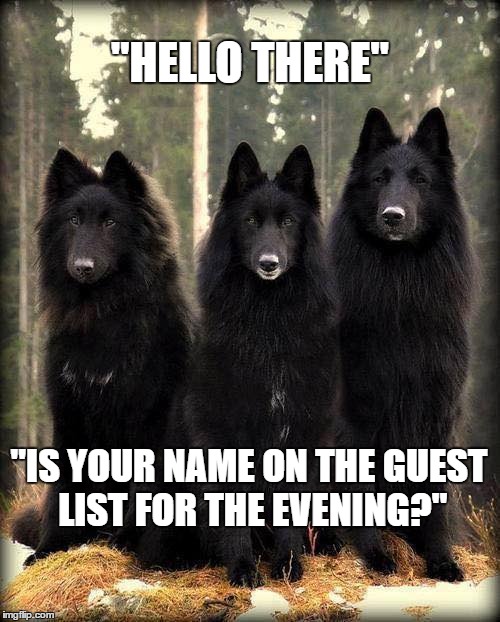 Hello There! | "HELLO THERE"; "IS YOUR NAME ON THE GUEST LIST FOR THE EVENING?" | image tagged in dogs,shepherd,meme,funny meme | made w/ Imgflip meme maker