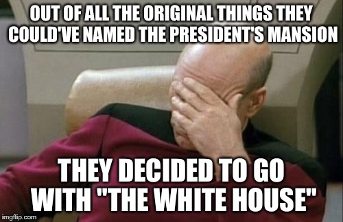 Captain Picard Facepalm Meme | OUT OF ALL THE ORIGINAL THINGS THEY COULD'VE NAMED THE PRESIDENT'S MANSION; THEY DECIDED TO GO WITH "THE WHITE HOUSE" | image tagged in memes,captain picard facepalm | made w/ Imgflip meme maker