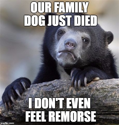 Confession Bear Meme - Imgflip