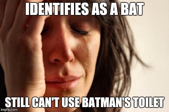 First World Problems Meme | IDENTIFIES AS A BAT STILL CAN'T USE BATMAN'S TOILET | image tagged in memes,first world problems | made w/ Imgflip meme maker