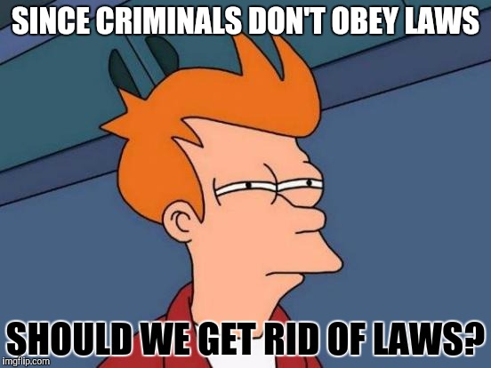 Futurama Fry Meme | SINCE CRIMINALS DON'T OBEY LAWS; SHOULD WE GET RID OF LAWS? | image tagged in memes,futurama fry | made w/ Imgflip meme maker