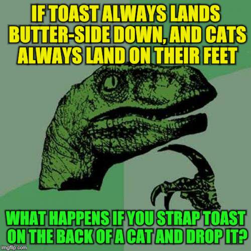 Philosoraptor | IF TOAST ALWAYS LANDS BUTTER-SIDE DOWN, AND CATS ALWAYS LAND ON THEIR FEET; WHAT HAPPENS IF YOU STRAP TOAST ON THE BACK OF A CAT AND DROP IT? | image tagged in memes,philosoraptor,cats,funny meme,toast,fall | made w/ Imgflip meme maker