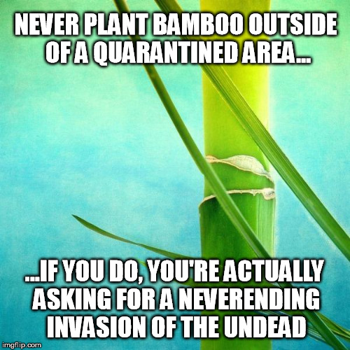 Bamboo | NEVER PLANT BAMBOO OUTSIDE OF A QUARANTINED AREA... ...IF YOU DO, YOU'RE ACTUALLY ASKING FOR A NEVERENDING INVASION OF THE UNDEAD | image tagged in bamboo | made w/ Imgflip meme maker