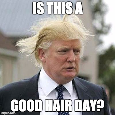 Donald Trump | IS THIS A; GOOD HAIR DAY? | image tagged in donald trump | made w/ Imgflip meme maker