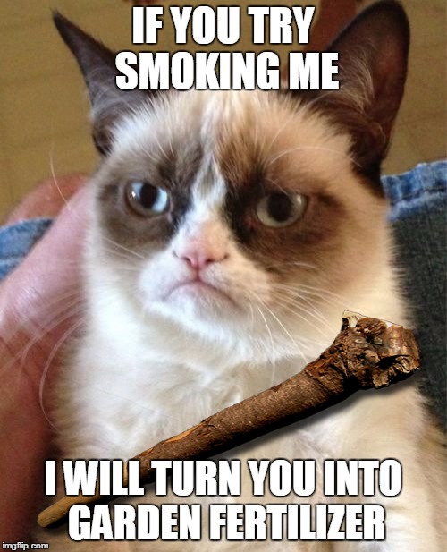 Grumpy Cat Meme | IF YOU TRY SMOKING ME I WILL TURN YOU INTO GARDEN FERTILIZER | image tagged in memes,grumpy cat | made w/ Imgflip meme maker