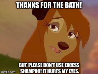 Thanks For The Bath! | THANKS FOR THE BATH! BUT, PLEASE DON'T USE EXCESS SHAMPOO! IT HURTS MY EYES. | image tagged in dixie melancholy,memes,disney,the fox and the hound 2,reba mcentire,dog | made w/ Imgflip meme maker