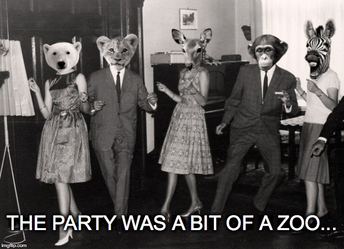 And I thought college was bad... | THE PARTY WAS A BIT OF A ZOO... | image tagged in janey mack meme,flirt,funny meme,the party was a bit of a zoo,animals,party animals | made w/ Imgflip meme maker