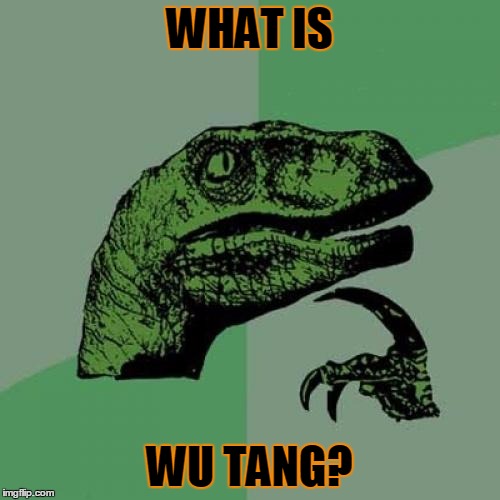 Philosoraptor Meme | WHAT IS WU TANG? | image tagged in memes,philosoraptor | made w/ Imgflip meme maker