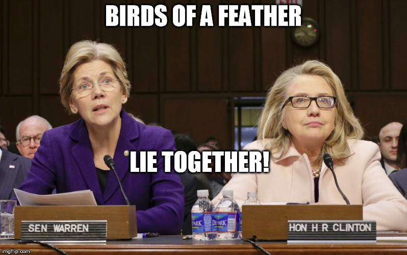 Birds of a feather lie together | BIRDS OF A FEATHER; LIE TOGETHER! | image tagged in hillary clinton,election 2016,elizabeth warren,democrats | made w/ Imgflip meme maker