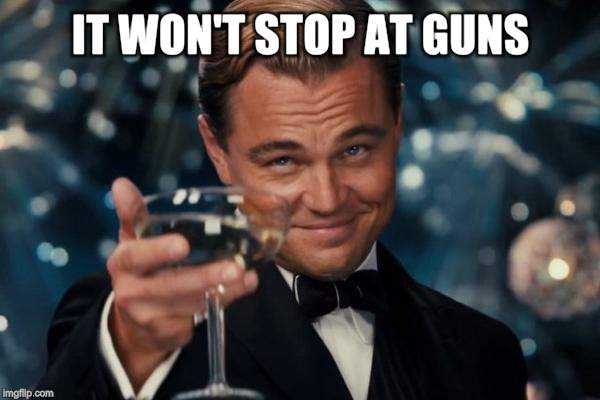 Leonardo Dicaprio Cheers Meme | IT WON'T STOP AT GUNS | image tagged in memes,leonardo dicaprio cheers | made w/ Imgflip meme maker
