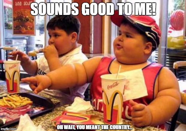 Fat McDonald's Kid | SOUNDS GOOD TO ME! OH WAIT, YOU MEANT THE COUNTRY... | image tagged in fat mcdonald's kid | made w/ Imgflip meme maker