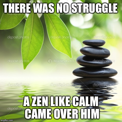 THERE WAS NO STRUGGLE A ZEN LIKE CALM CAME OVER HIM | made w/ Imgflip meme maker