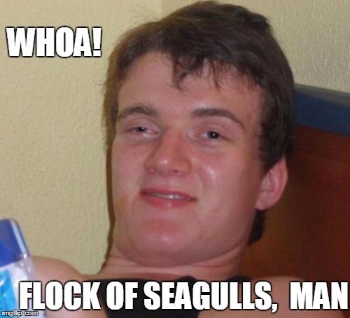 10 Guy Meme | WHOA! FLOCK OF SEAGULLS,  MAN | image tagged in memes,10 guy | made w/ Imgflip meme maker
