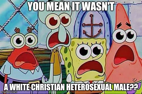 Shocked | YOU MEAN IT WASN'T; A WHITE CHRISTIAN HETEROSEXUAL MALE?? | image tagged in shocked | made w/ Imgflip meme maker